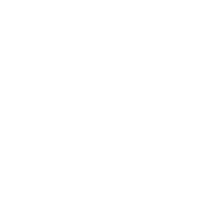 Party-Packages-Icon-